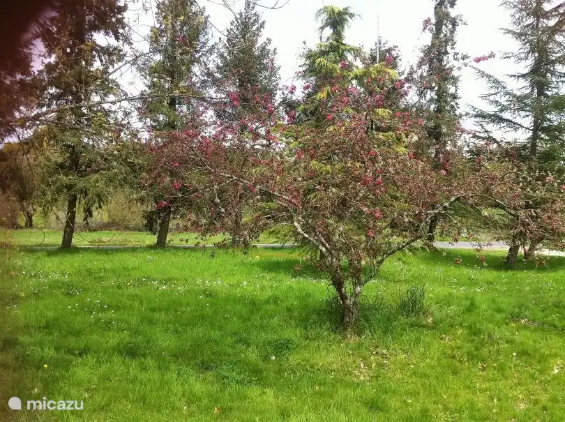Ein Blick auf den Garten