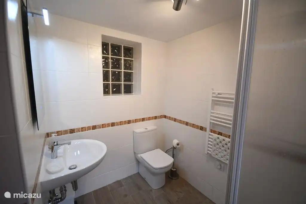 The second bathroom is also equipped with washbasin with mirror, shower and toilet
