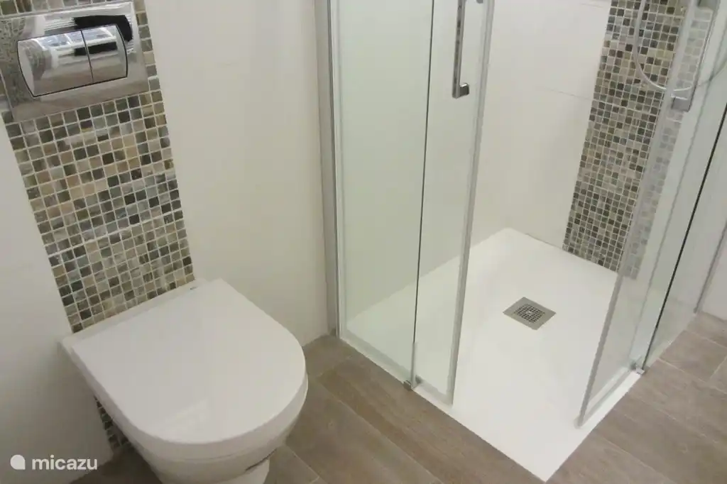 The renovated bathroom with a spacious shower cabin (80x100 cm) with a rain shower.