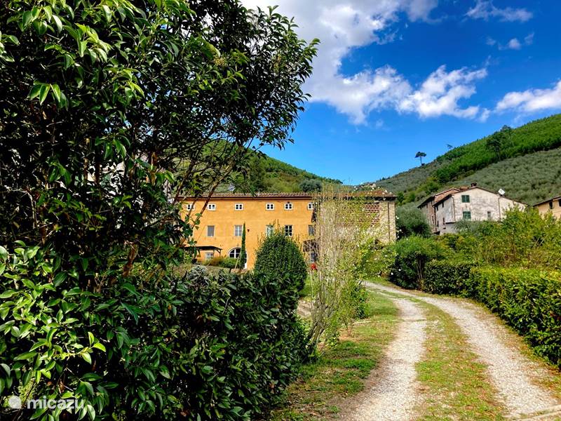 Ferienwohnung Italien, Toskana, Lucca Villa Villa Allegra