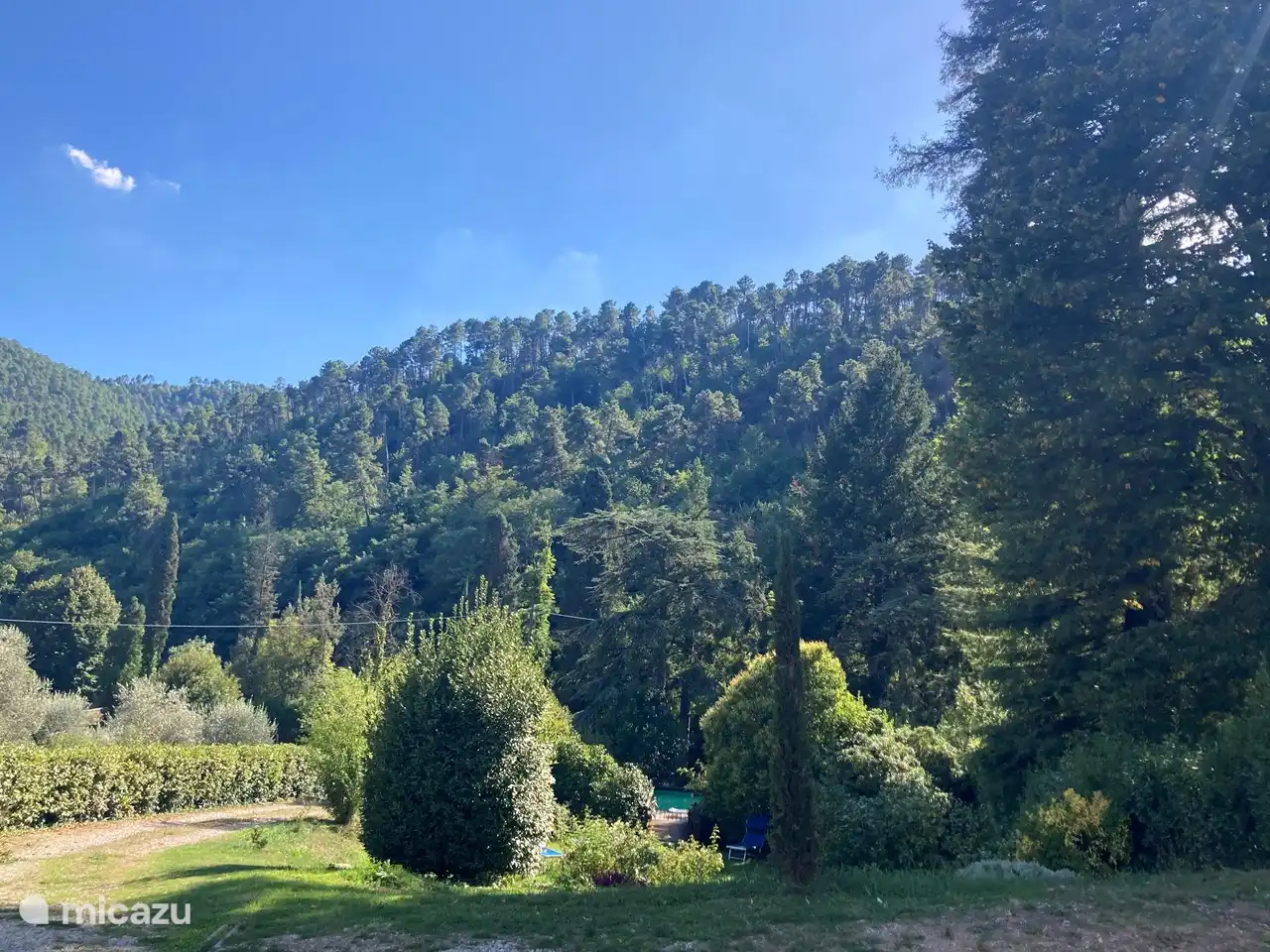 Views of the Monte Pisano from the garden