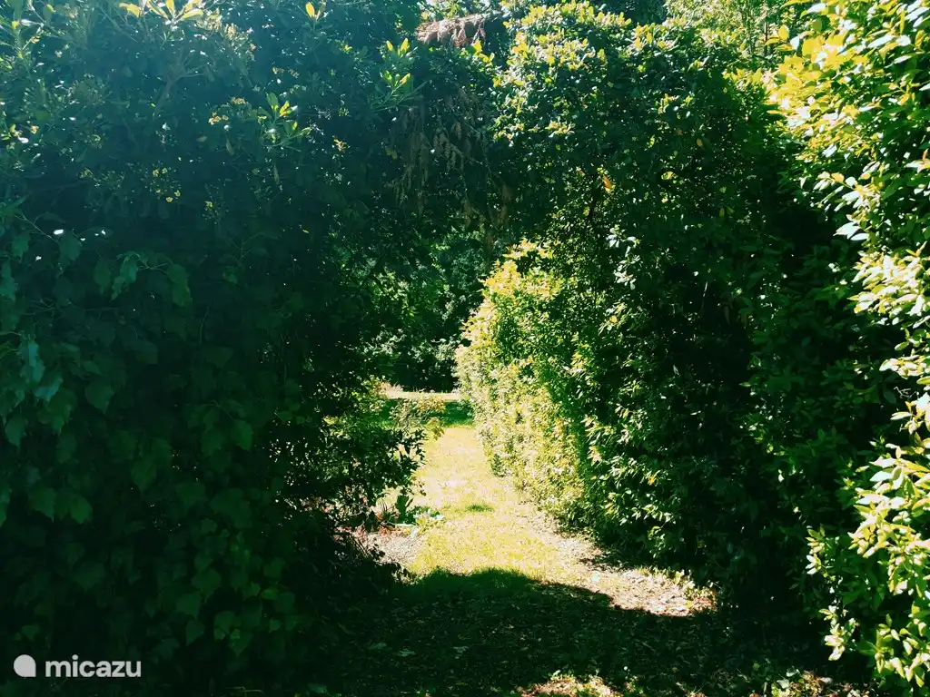 The garden has a surface of 3,500m and offers various possibilities to sit in the shade or sun.