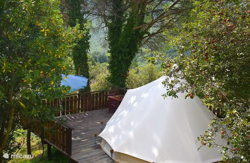 de tent staat in de schaduw van oude bomen