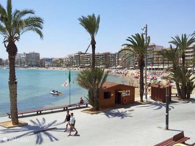 Holiday home in Spain, Costa Blanca, Torrevieja - apartment El Timonel