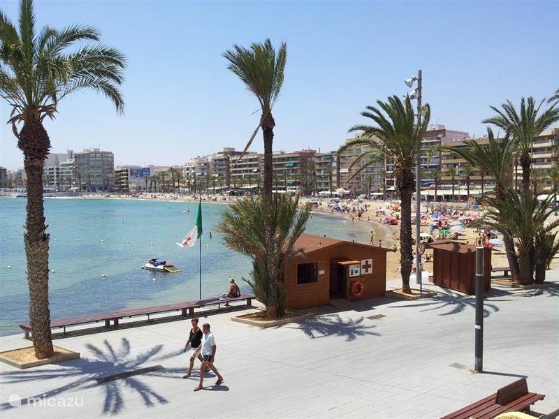 Holiday home in Spain, Costa Blanca, Torrevieja Apartment El Timonel