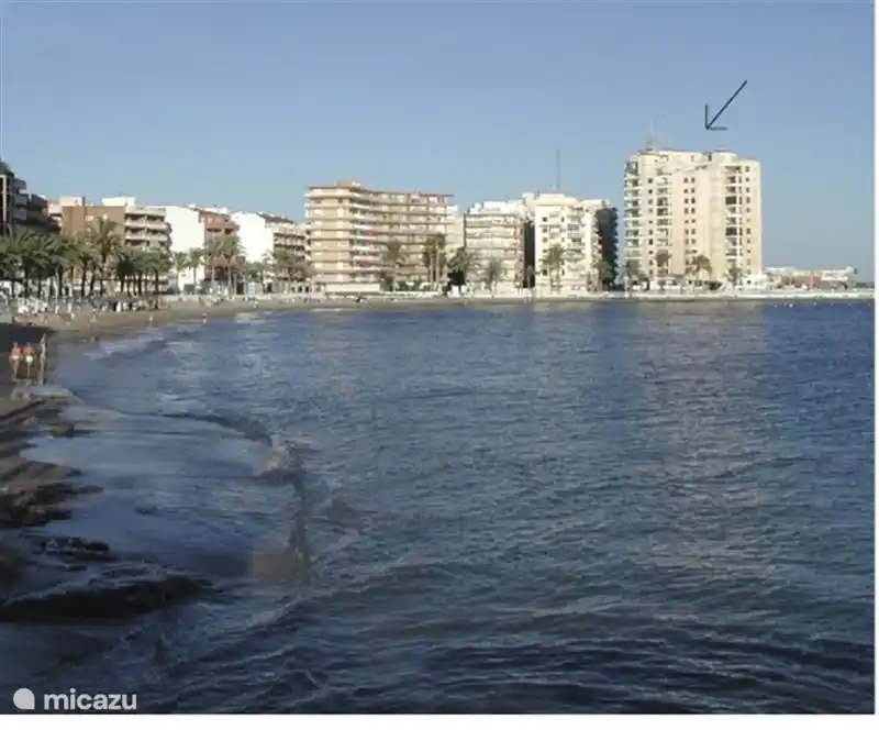 El Timonel in Spanien, Costa Blanca, Torrevieja - Appartement