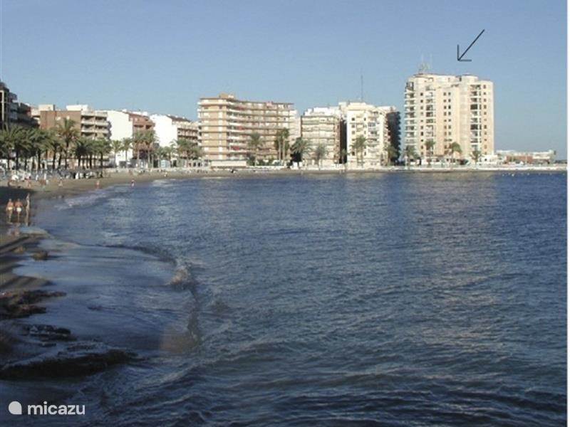 Holiday home in Spain, Costa Blanca, Torrevieja Apartment El Timonel