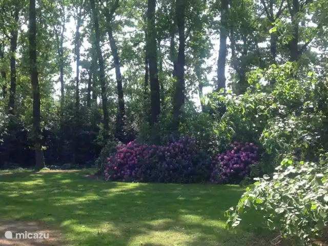 Ferienhof Brink Ort 2 en Alemania, Baja Sajonia, Warmsen - camping de lujo / yurta / tienda safari El archivo de roble
