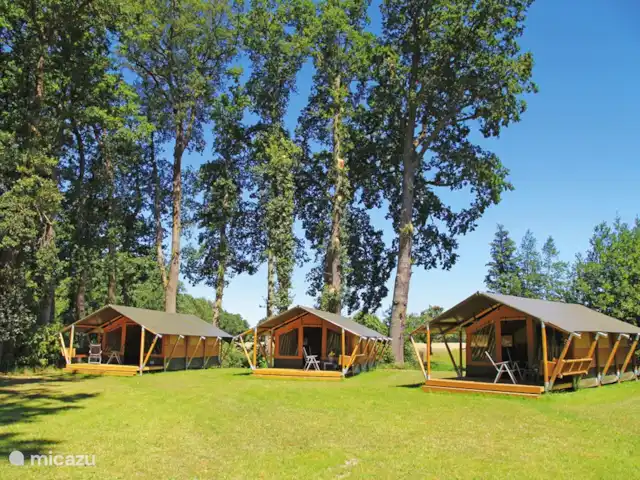Ferienhof Brink Ort 2 en Alemania, Baja Sajonia, Warmsen - camping de lujo / yurta / tienda safari Para grupos más grandes se pueden alquilar nuestras tres carpas.