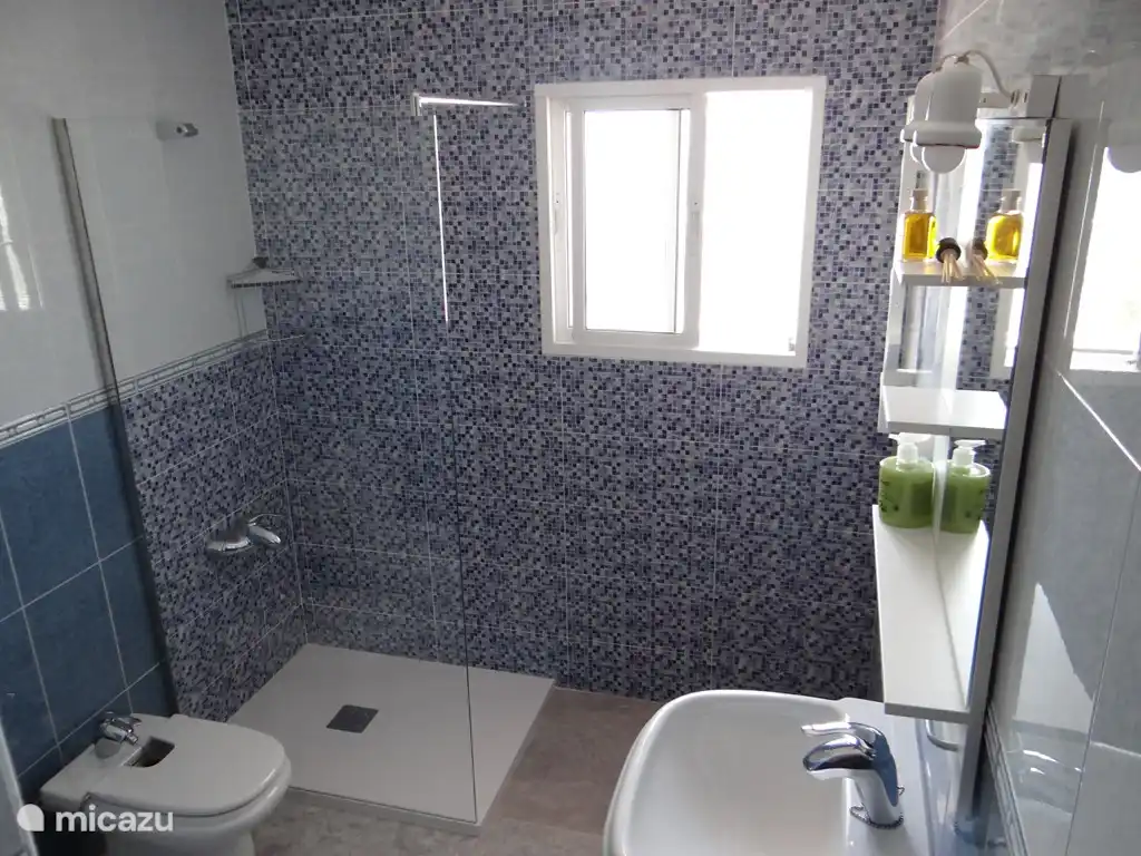 Salle de bain avec douche, toilette et lavabo