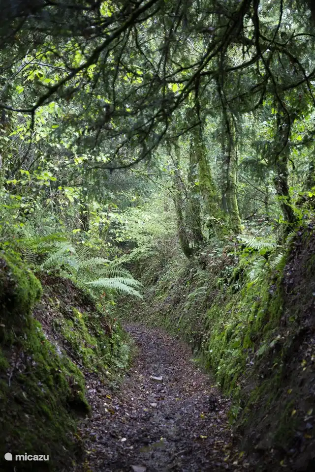 vanuit de gite zijn er mooie wandelingen te maken, eventueel hebben we een stafkaart van de omgeving voor jullie 