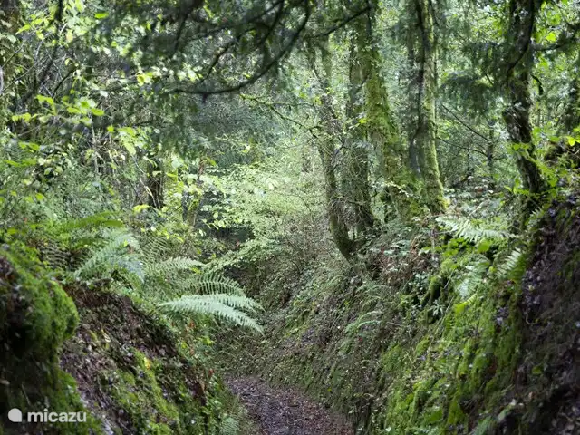 gîte / cottage huren in Frankrijk, Finistère, Locmaria-Berrien – La Colline des Renards vanuit de gite zijn er mooie wandelingen te maken, eventueel hebben we een stafkaart van de omgeving voor jullie