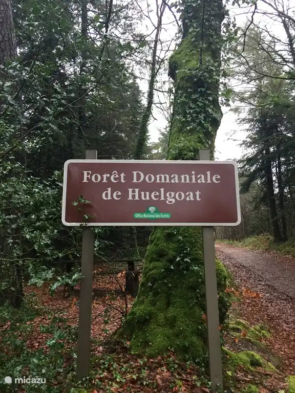 Forêt bij Huelgoat bij ons om de hoek.