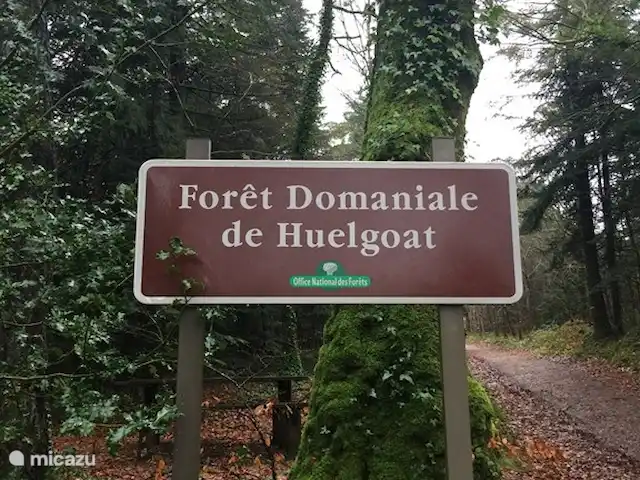 gîte / cottage huren in Frankrijk, Finistère, Locmaria-Berrien – La Colline des Renards Forêt bij Huelgoat bij ons om de hoek.