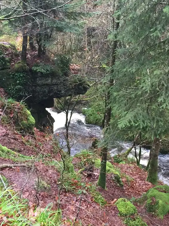 Prachtige boswandelingen in het : Forêt Domaniale de Huelgoat.