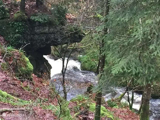 gîte / cottage huren in Frankrijk, Finistère, Locmaria-Berrien – La Colline des Renards Prachtige boswandelingen in het : Forêt Domaniale de Huelgoat.