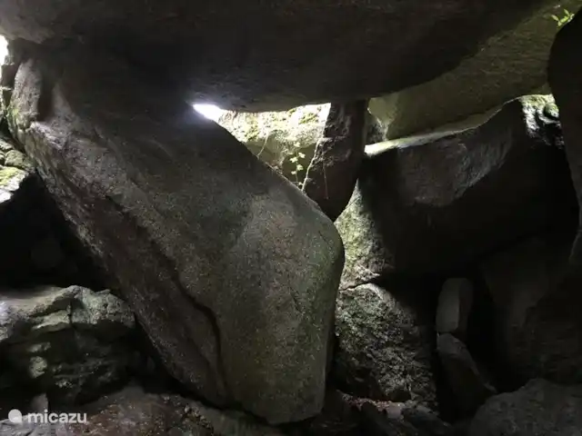 gîte / cottage huren in Frankrijk, Finistère, Locmaria-Berrien – La Colline des Renards impressie bos