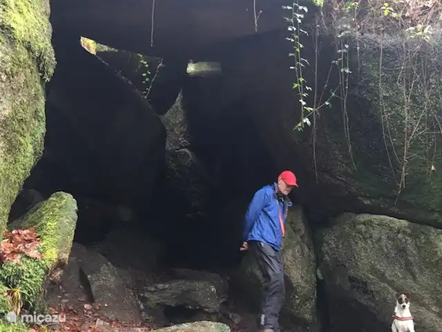 gîte / cottage huren in Frankrijk, Finistère, Locmaria-Berrien – La Colline des Renards impressie bos