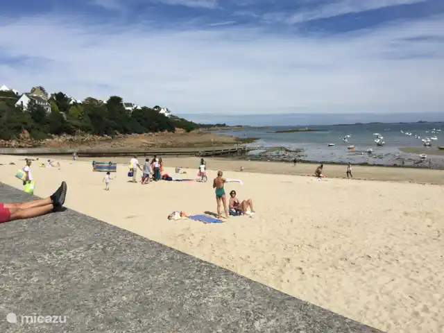 gîte / cottage huren in Frankrijk, Finistère, Locmaria-Berrien – La Colline des Renards Een van de andere vele strandjes op korte afstand boven Morlaix.