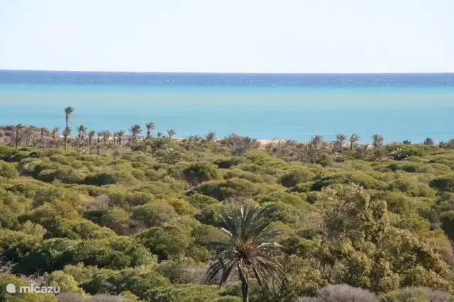 Blick auf die Wohnung auf See und Park