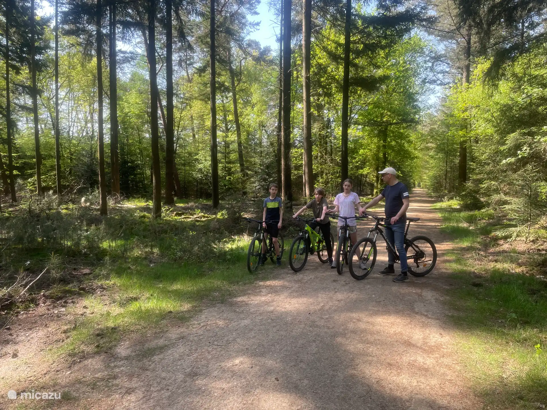 Mountainbiken in de bossen - evt. bij te huren op verzoek