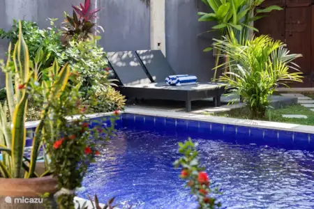 Vakantiehuis Indonesië, Bali, Seminyak villa Villa Almafi Vakantiehuis Indonesië, Bali, Seminyak villa Villa Almafi