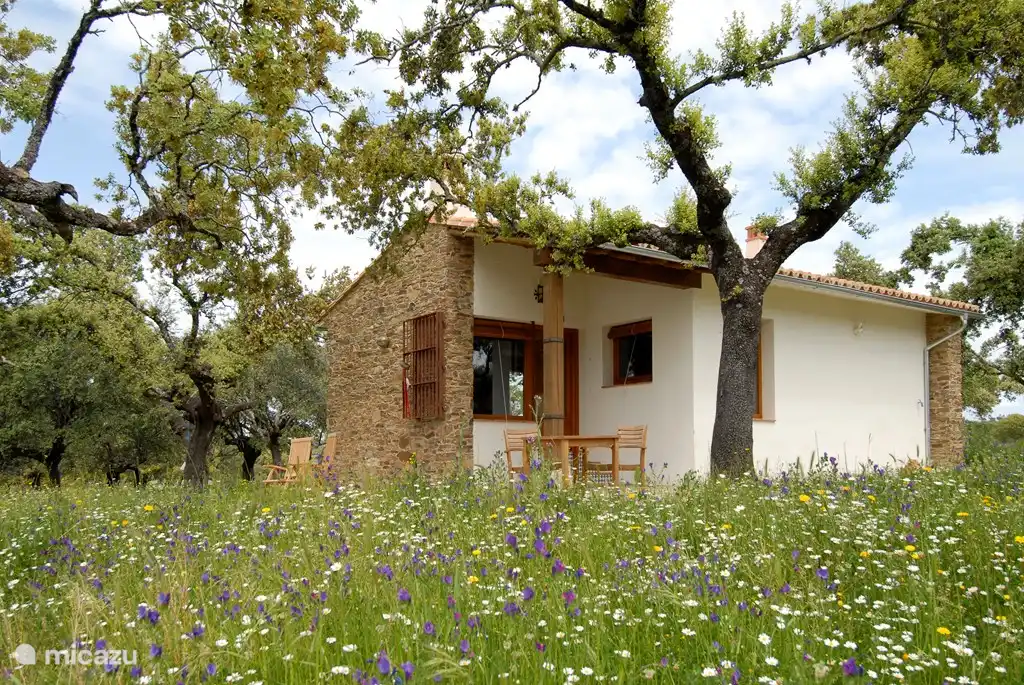 Frühling auf der Finca Las Abubillas