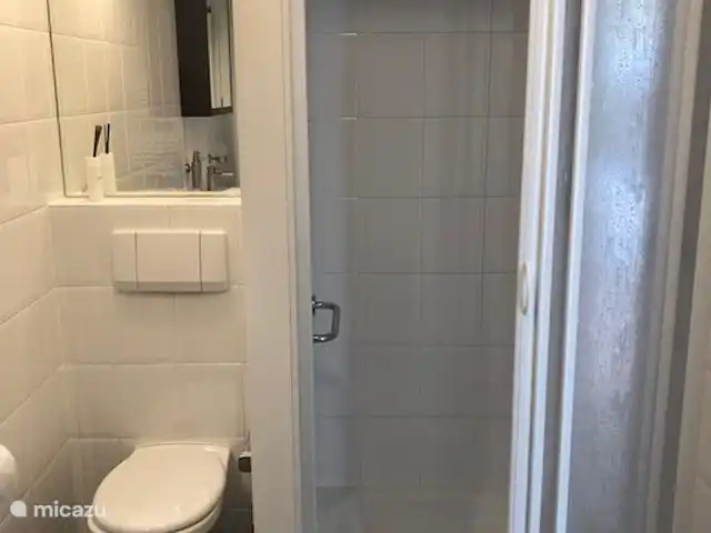 Bonita casa de vacaciones en la playa en Países Bajos, Holanda Meridional, Ouddorp - casa vacacional El cuarto de baño
