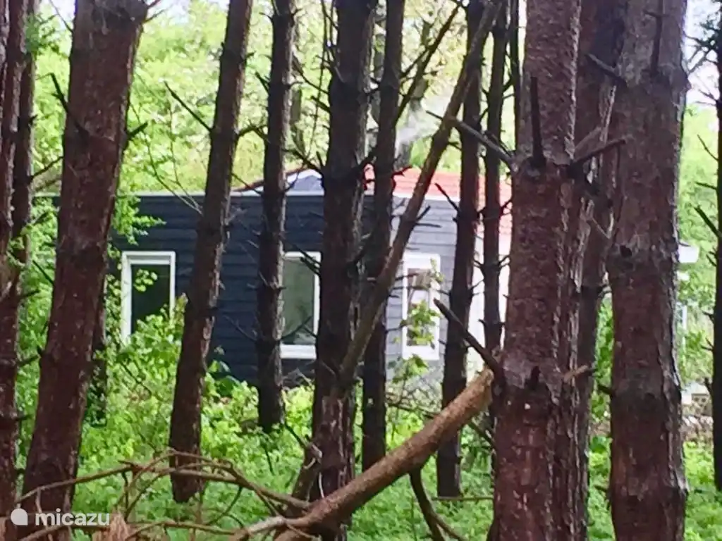 Rear view of the house