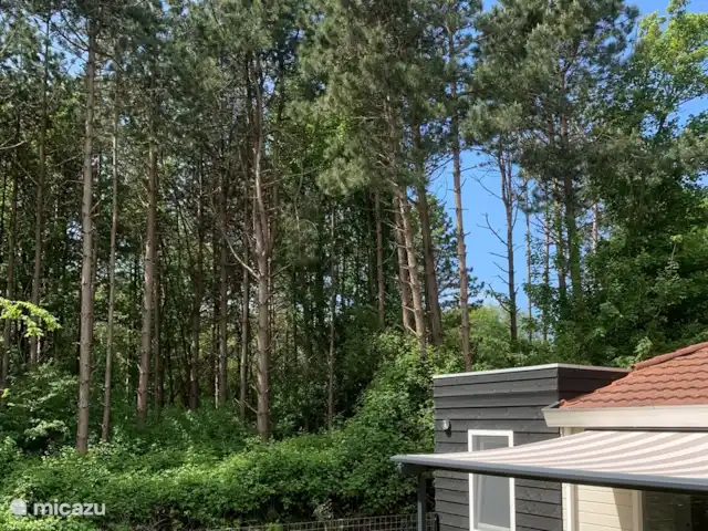 Bonita casa de vacaciones en la playa en Países Bajos, Holanda Meridional, Ouddorp - casa vacacional Desde el jardín se mira hacia el bosque