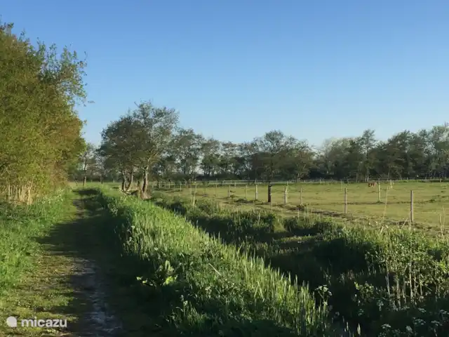 Bonita casa de vacaciones en la playa en Países Bajos, Holanda Meridional, Ouddorp - casa vacacional Naturaleza alrededor del parque