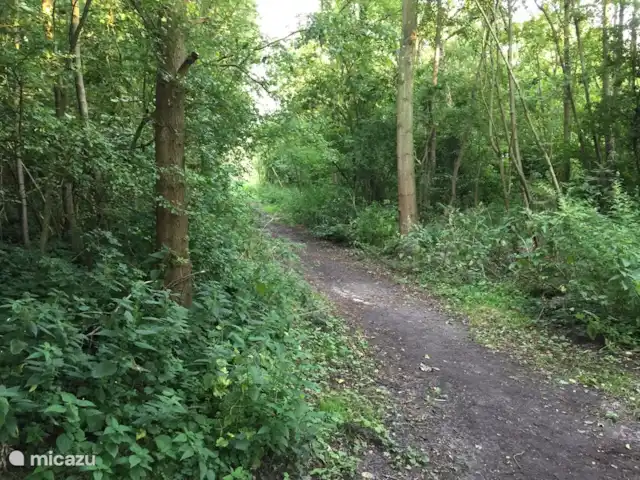 Bonita casa de vacaciones en la playa en Países Bajos, Holanda Meridional, Ouddorp - casa vacacional El bosque al lado del parque.
