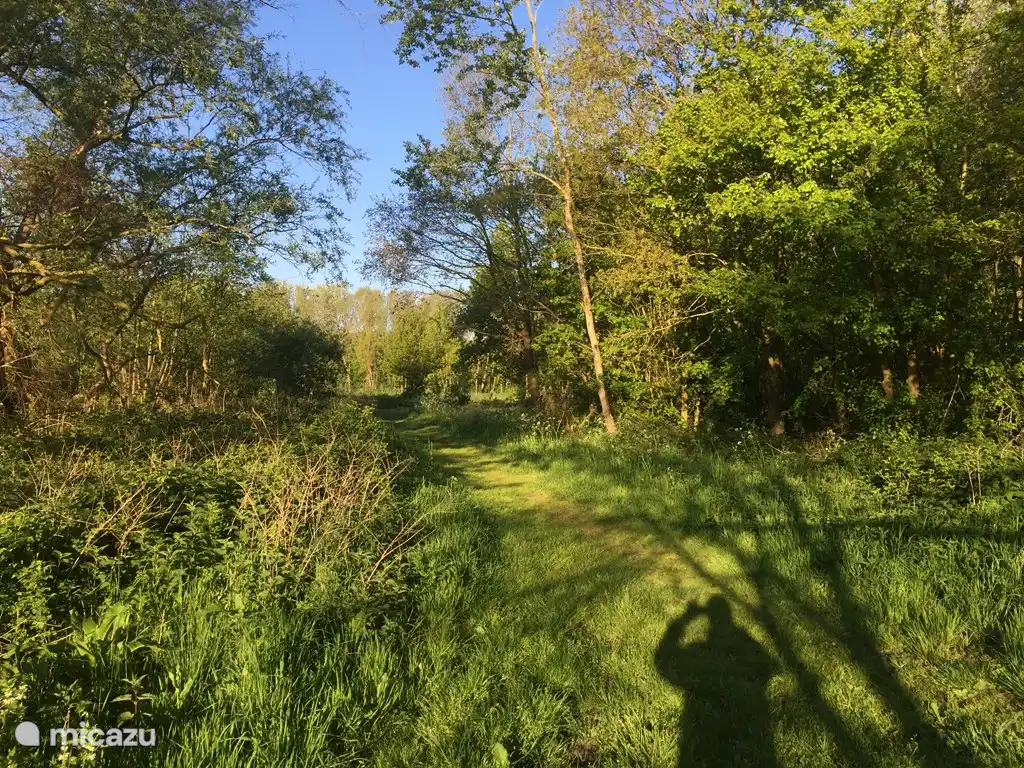 Walking area next to the park