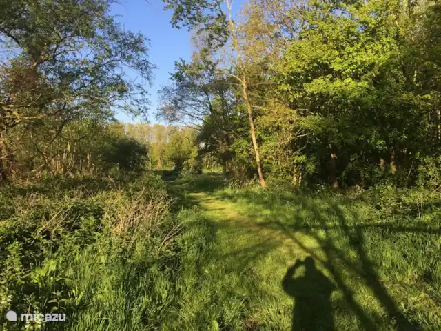 Bonita casa de vacaciones en la playa en Países Bajos, Holanda Meridional, Ouddorp - casa vacacional Zona de paseo junto al parque