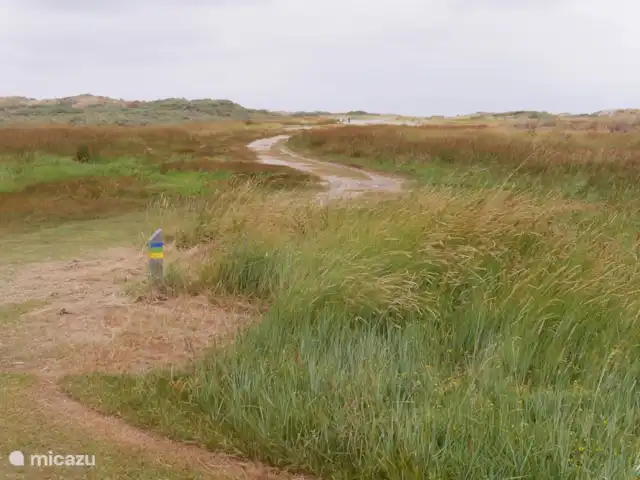 Bonita casa de vacaciones en la playa en Países Bajos, Holanda Meridional, Ouddorp - casa vacacional reserva natural el rincón malo,