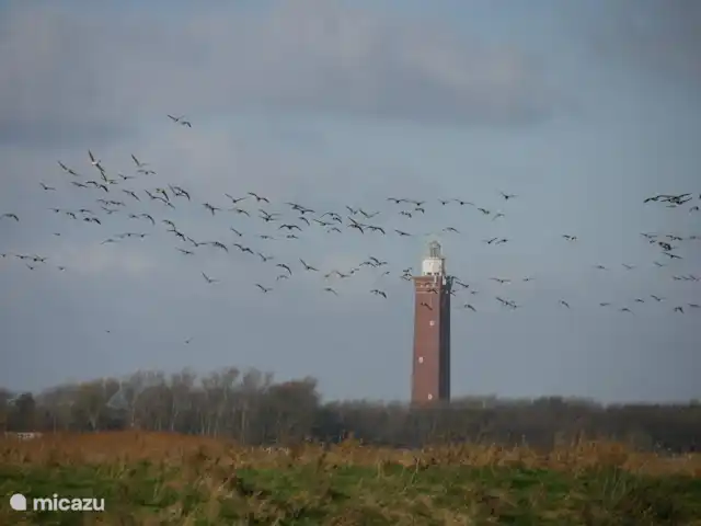 Bonita casa de vacaciones en la playa en Países Bajos, Holanda Meridional, Ouddorp - casa vacacional El faro de Ouddorp