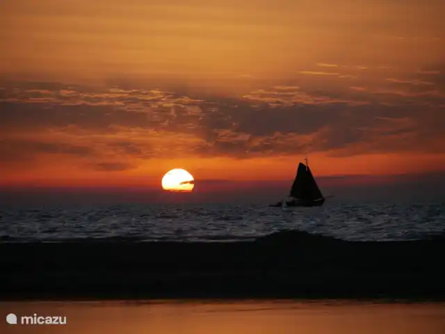 Bonita casa de vacaciones en la playa en Países Bajos, Holanda Meridional, Ouddorp - casa vacacional tarde junto al mar