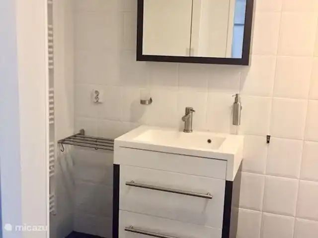 Bonita casa de vacaciones en la playa en Países Bajos, Holanda Meridional, Ouddorp - casa vacacional El baño con inodoro y ducha.