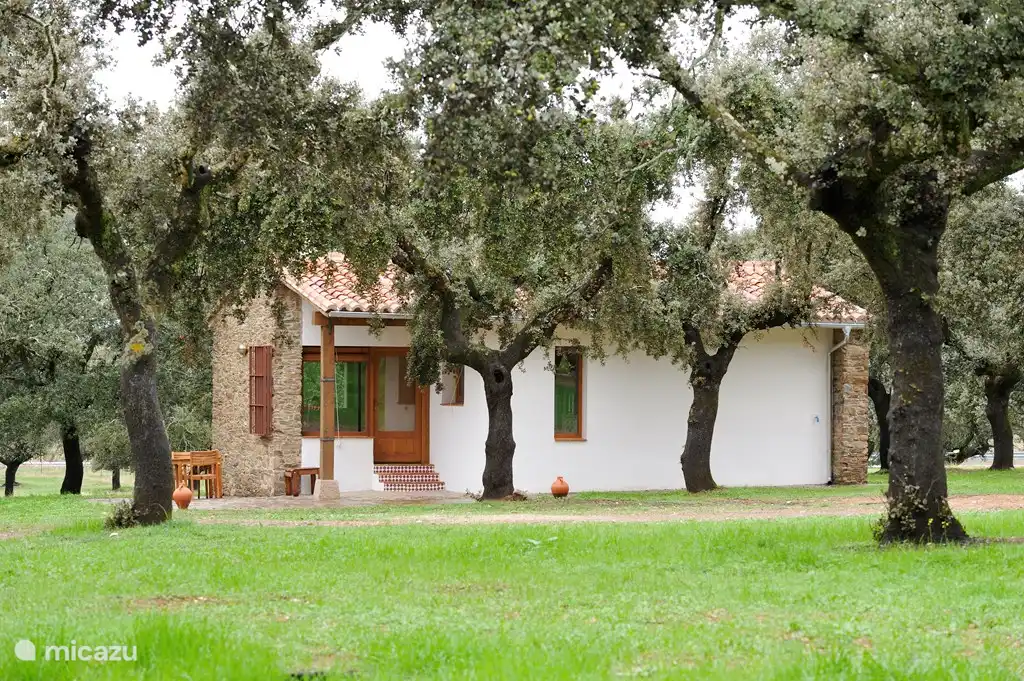 Ihr Bungalow ist in der Mitte der Eichen.