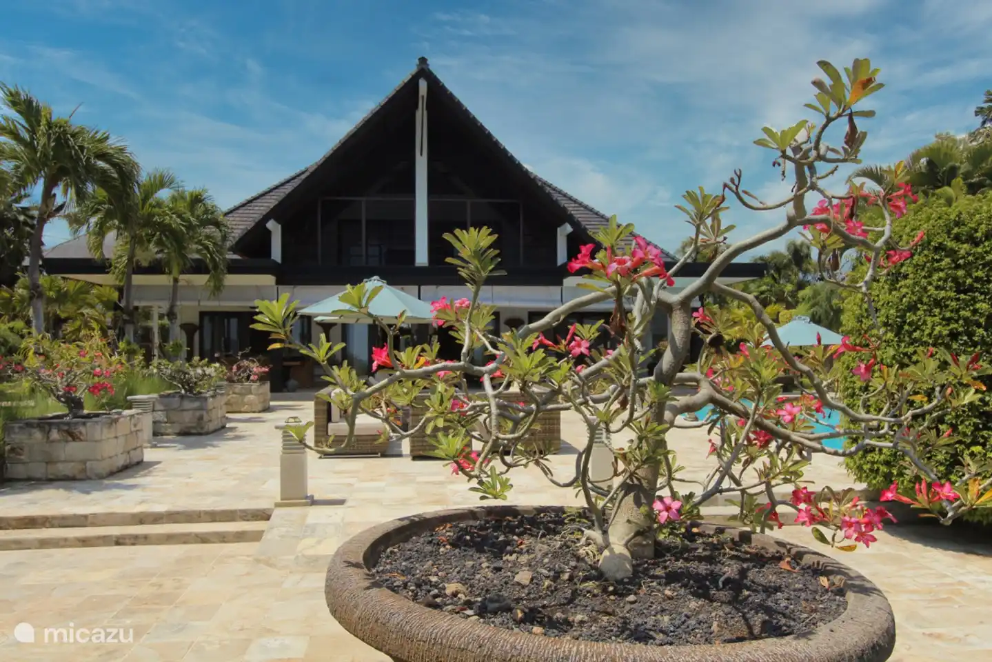 wunderschön angelegter Garten