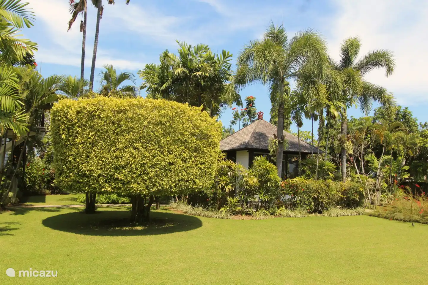 wunderschön angelegter Garten