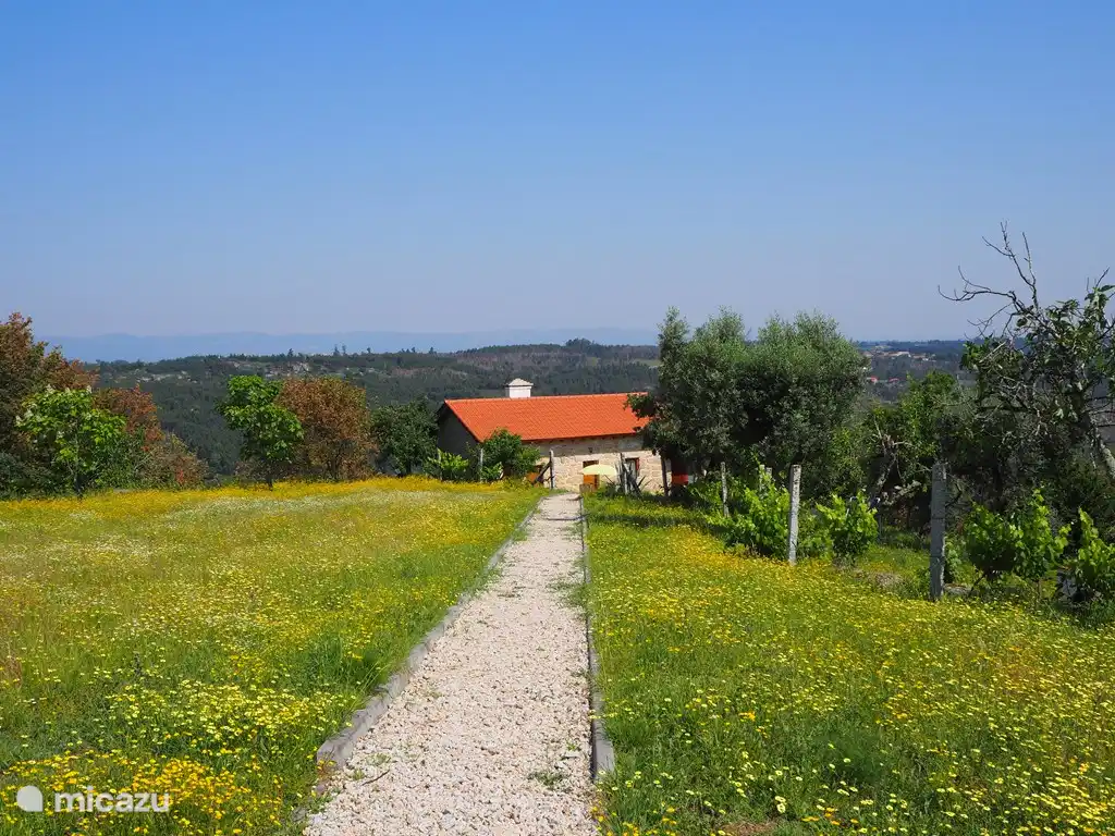 Das Ferienhaus liegt 150 Meter von den anderen Häusern entfernt und bietet viel Privatsphäre