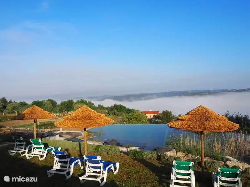 Das ökologische Schwimmbad