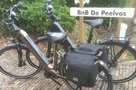 Electric bikes for rent