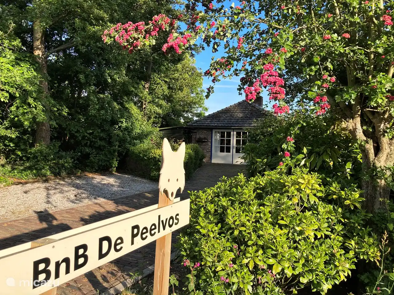 BnB De Peelvos in Niederlande, Nordbrabant, Deurne - Ferienhaus