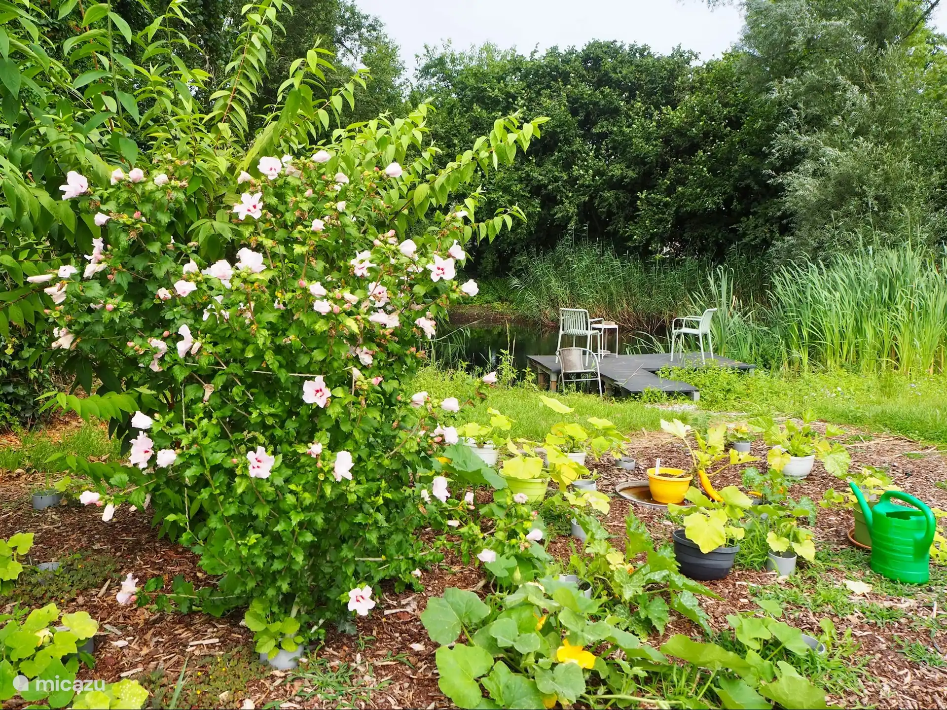 Sitz auf dem Steg am Niedermoor