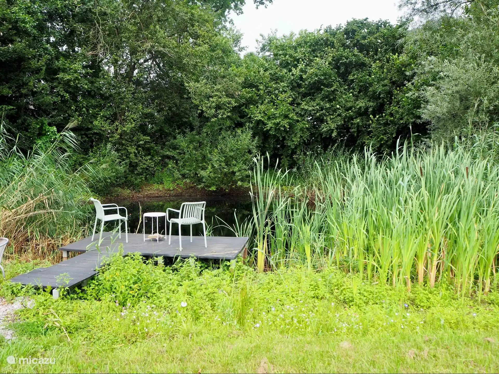 Sitz auf dem Steg am Niedermoor