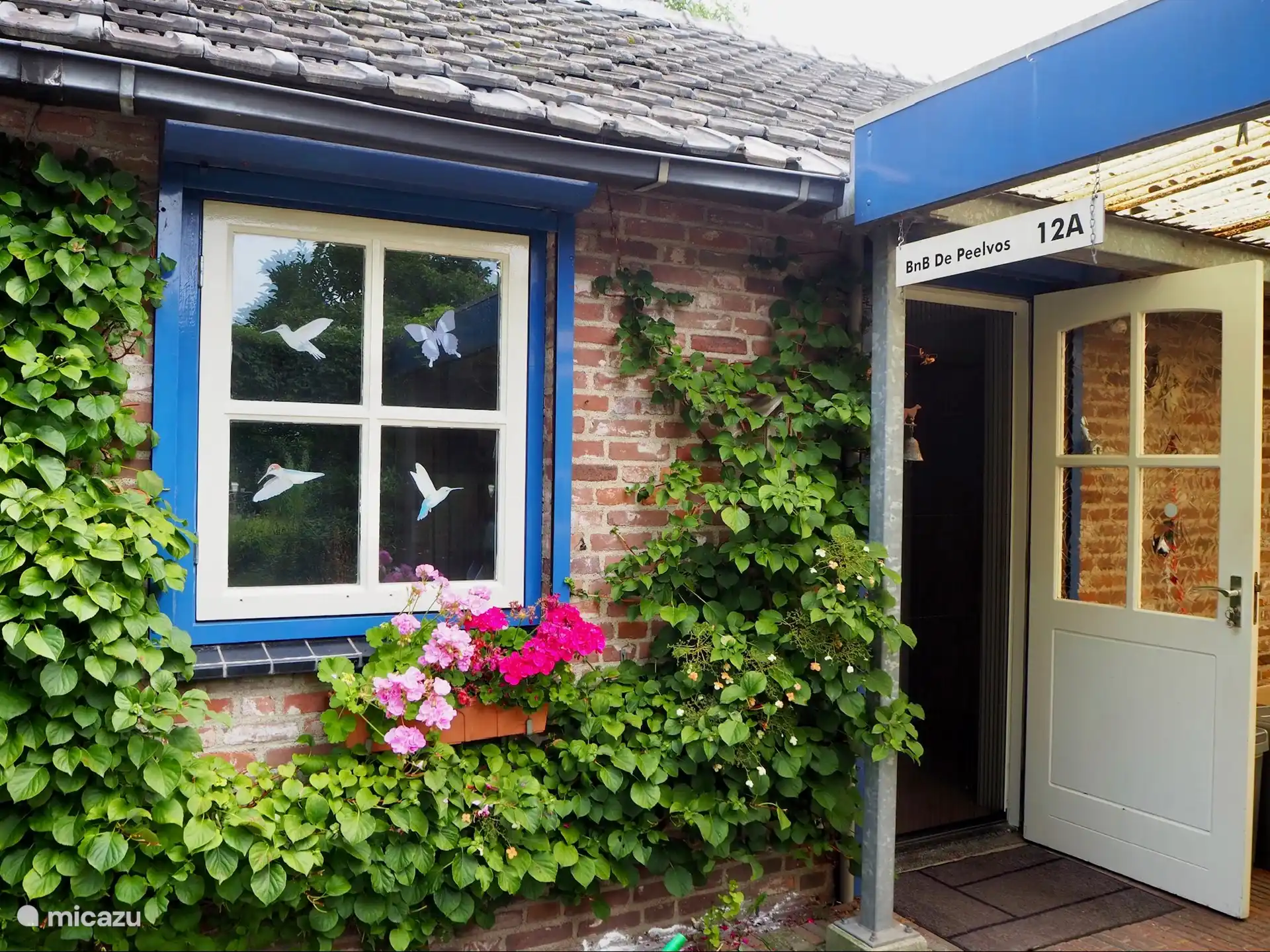 BnB De Peelvos in Niederlande, Nordbrabant, Deurne - Ferienhaus