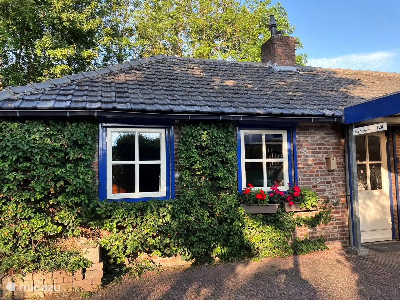 BnB De Peelvos in Niederlande, Nordbrabant, Deurne - Ferienhaus