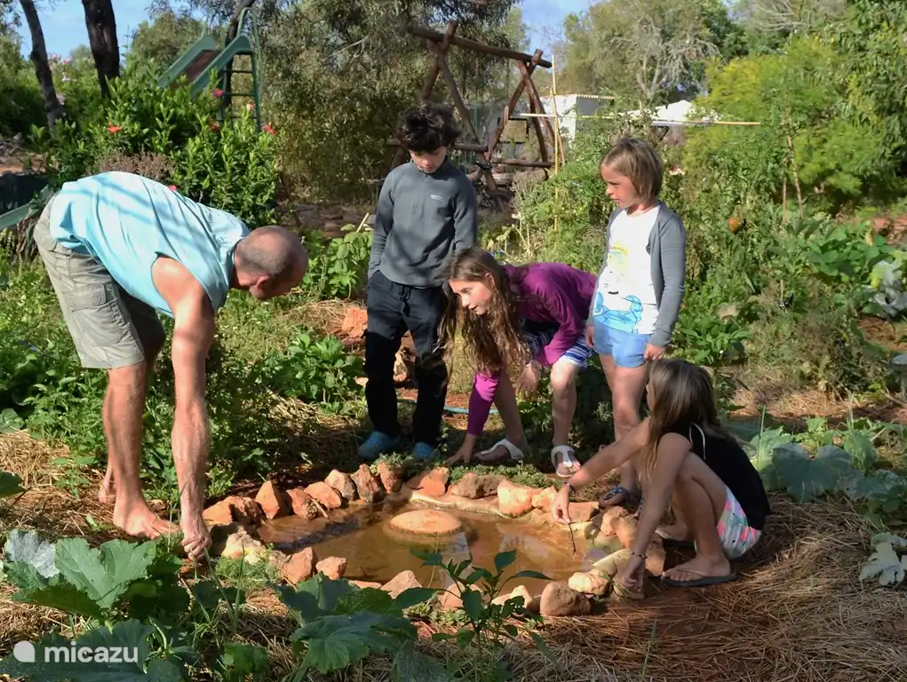 Bei der Zubereitung unserer Abendessen verwenden wir so viele Zutaten wie möglich aus unserem eigenen Bio-Gemüsegarten.